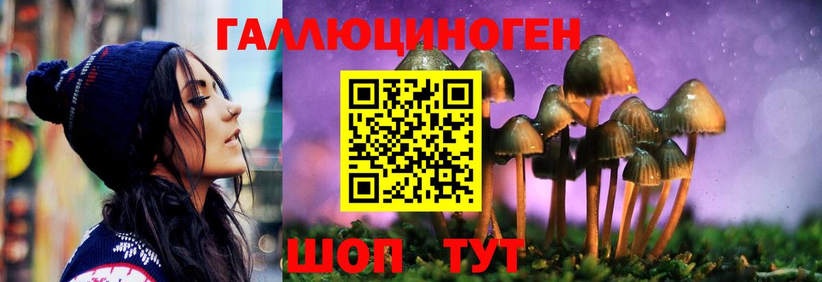 где можно купить наркотик  Вход с VPN  Саянск  Галлюциногенные грибы Cubensis  Галлюциногенные грибы Psilocybine cubensis 